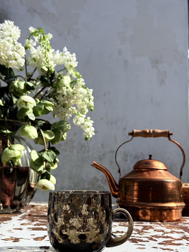 Hrneček puntíkovaný v kouřovém křišťálu - Obrázek 3