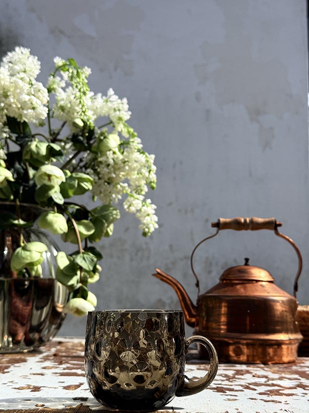 Hrneček puntíkovaný v kouřovém křišťálu - Obrázek 4