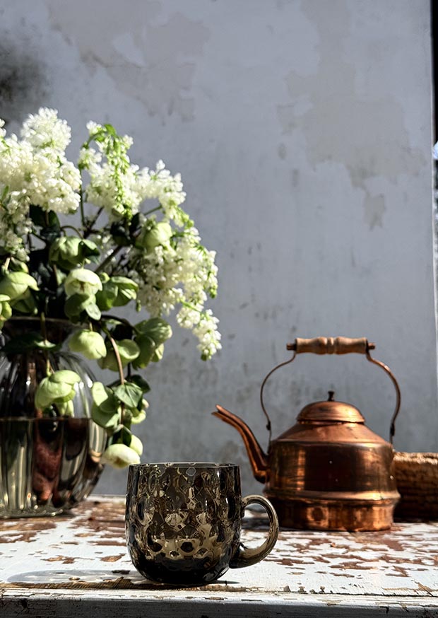 Hrneček puntíkovaný v kouřovém křišťálu