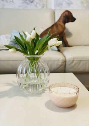 Malá miska "Crystalka" růžová